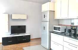 Apartament cu 2 dormitoare in bloc nou la 2 minute de Iulius Mall