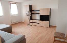 Apartament o camera, 38 mp, zona Ioan Rus