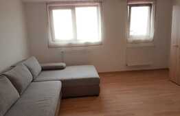 Apartament o camera, 38 mp, zona Ioan Rus