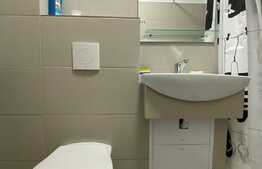 Apartament 2 camere, 50mp, prima inchiriere, zona strazii Horea. Pet friendly