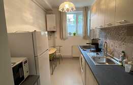 Apartament 2 camere, 50mp, prima inchiriere, zona strazii Horea. Pet friendly
