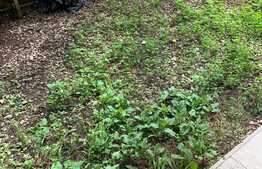 Duplex de vanzare, 115 mp, teren 120 mp, parcare, zona strazii Florilor