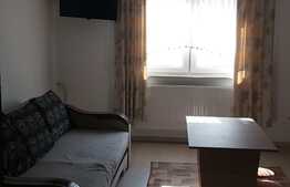 Apartament cu 1 camera, decomandat, 22 mp, zona strazii Cojocnei