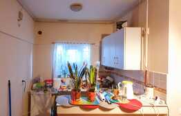 Investitie garantata sau locuință cocheta, 24.75 mp! Zona autogara Fany