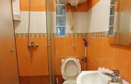 Investitie garantata sau locuință cocheta, 19.5 mp! Zona autogara Fany