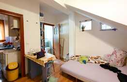 Investitie garantata sau locuință cocheta, 23.50 mp! Zona autogara Fany