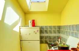 Investitie garantata sau locuință cocheta, 17 mp! Zona Autogara Fany