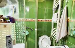 Investitie garantata sau locuință cocheta, 17 mp! Zona Autogara Fany