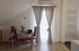 Apartament open space, 40mp, zona Spitalul de Recuperare