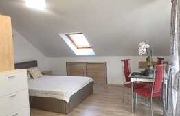 Apartament open space, 40mp, zona Spitalul de Recuperare