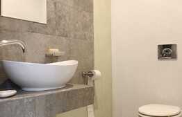 Penthouse 180mp, 4 bai, terasa 140mp,  gradina, garaj, pet friendly, zona strazii Clinicilor 