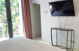 Penthouse 180mp, 4 bai, terasa 140mp,  gradina, garaj, pet friendly, zona strazii Clinicilor 