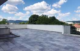 Penthouse 180mp, 4 bai, terasa 140mp,  gradina, garaj, pet friendly, zona strazii Clinicilor 