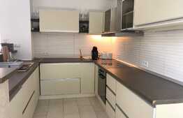 Penthouse 180mp, 4 bai, terasa 140mp,  gradina, garaj, pet friendly, zona strazii Clinicilor 