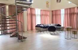 Penthouse 180mp, 4 bai, terasa 140mp,  gradina, garaj, pet friendly, zona strazii Clinicilor 