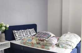 Penthouse 180mp, 4 bai, terasa 140mp,  gradina, garaj, pet friendly, zona strazii Clinicilor 