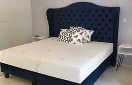 Penthouse 180mp, 4 bai, terasa 140mp,  gradina, garaj, pet friendly, zona strazii Clinicilor 