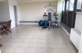 Penthouse 180mp, 4 bai, terasa 140mp,  gradina, garaj, pet friendly, zona strazii Clinicilor 