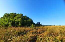 Teren 1200mp ,cu panorama deosebita asupra orasului,front de 80ml,in Borhanci