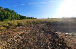 Teren 1200mp ,cu panorama deosebita asupra orasului,front de 80ml,in Borhanci