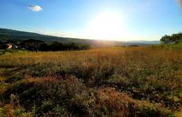 Teren 1200mp ,cu panorama deosebita asupra orasului,front de 80ml,in Borhanci