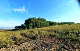 Teren 1200mp ,cu panorama deosebita asupra orasului,front de 80ml,in Borhanci