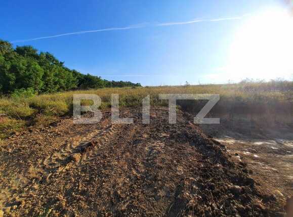 Teren de vânzare Borhanci - 53970TV | BLITZ Cluj-Napoca | Poza6