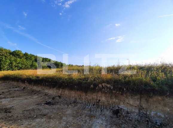 Teren de vânzare Borhanci - 53970TV | BLITZ Cluj-Napoca | Poza8