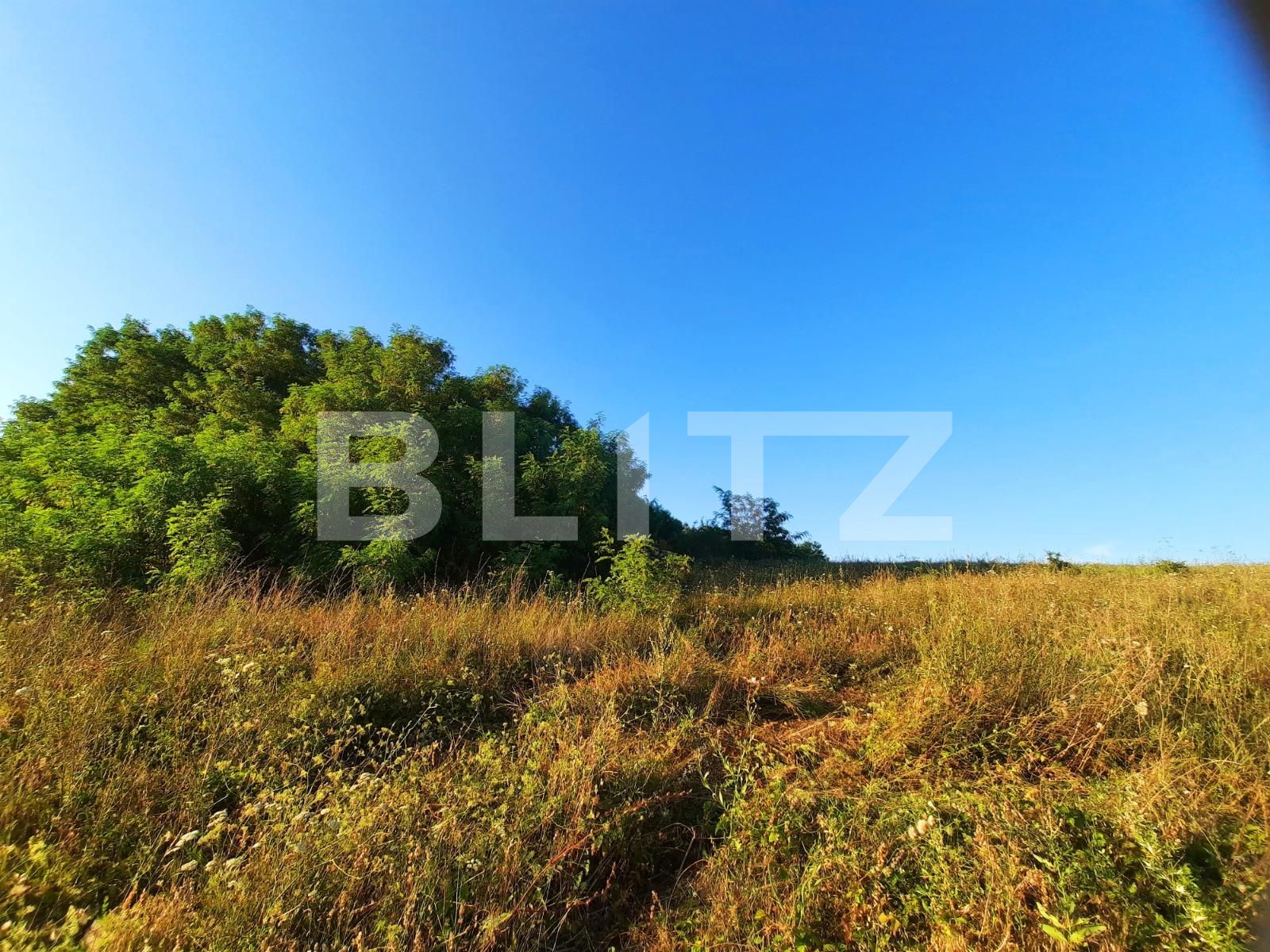 Teren de vânzare Borhanci - 53970TV | BLITZ Cluj-Napoca | Poza5