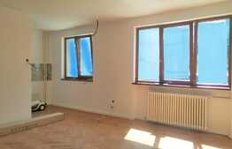 Apartament in zona Centrala, 2 camere, renovat, zona pietei Mihai Viteazu