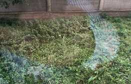 Investitia ideala te asteapta! Garsoniera 28.5 mp, zona strazii Grigore Alexandrescu