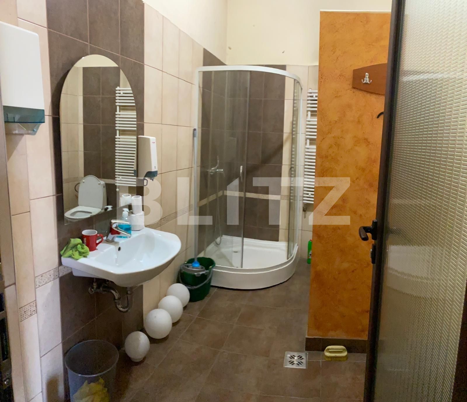 Spațiu comercial de închiriat Gheorgheni - 53983SIC | BLITZ Cluj-Napoca | Poza11