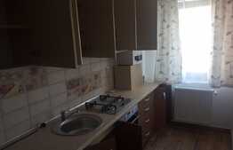 Apartament cu 1 camera, 40 mp, imobil nou, Intre Lacuri