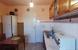 Apartament 3 camere, 65 mp, garaj, pet friendly, zona Titulescu