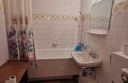 Apartament 3 camere, 65 mp, garaj, pet friendly, zona Titulescu