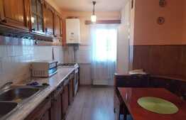 Apartament 3 camere, 65 mp, garaj, pet friendly, zona Titulescu