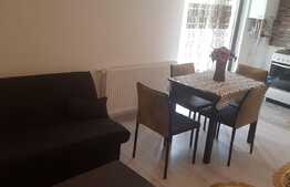 Apartament 2 camere, 40 mp, zona Stejarului