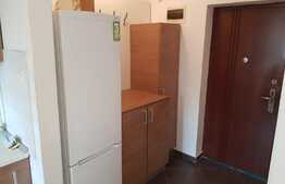 Apartament 46 mp, pet friendly! Mobilat si utilat!