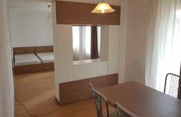 Apartament 46 mp, pet friendly! Mobilat si utilat!