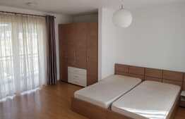 Apartament 46 mp, pet friendly! Mobilat si utilat!