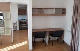 Apartament 46 mp, pet friendly! Mobilat si utilat!
