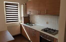 Apartament 46 mp, pet friendly! Mobilat si utilat!