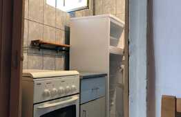 Apartament 1 camera, 30 mp, zona Busteni