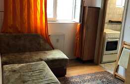 Apartament 1 camera, 30 mp, zona Busteni