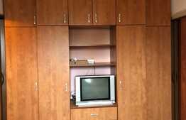 Apartament 1 camera, 30 mp, zona Busteni