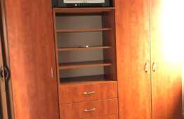 Apartament 1 camera, 30 mp, zona Busteni