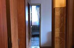 Apartament 1 camera, 30 mp, zona Busteni