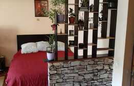 Apartament 1 camera, 37mp plus balcon, zona Hotel Paradis