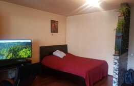 Apartament 1 camera, 37mp plus balcon, zona Hotel Paradis