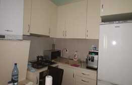 Apartament cu 2 camere, 50 mp, recent renovat, zona strazii Calea Turzii